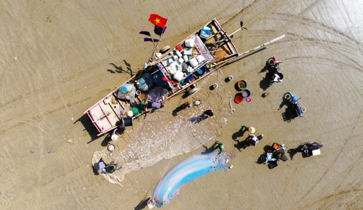 Ngoài cá trích, ngư dân còn đánh bắt thêm cá khoai, tôm rảo, bề bề, cua và nhiều loại hải sản khác, phân loại rồi bán ngay cho thương lái khi vào bờ