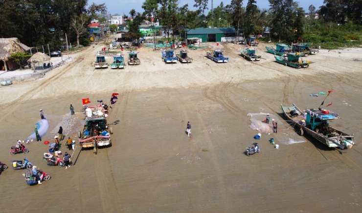 Trong những năm qua, việc đánh bắt xa bờ gặp nhiều khó khăn, vì thế các loại hải sản gần bờ vào mua như cá khoai, cá trích, sứa... đang là nguồn thu ổn định cho ngư dân ven bờ.