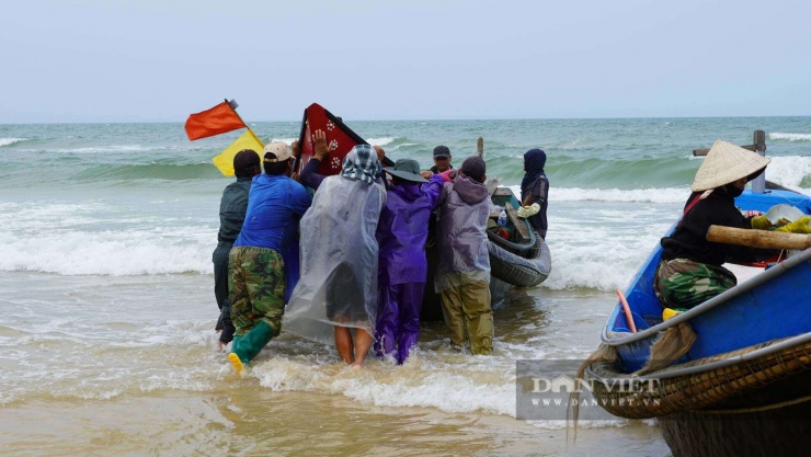 Sau khi đưa sứa biển vào bờ, ngư dân giúp nhau đưa tàu thuyền tiếp tục ra khơi đánh bắt. Ảnh: Ngọc Vũ.