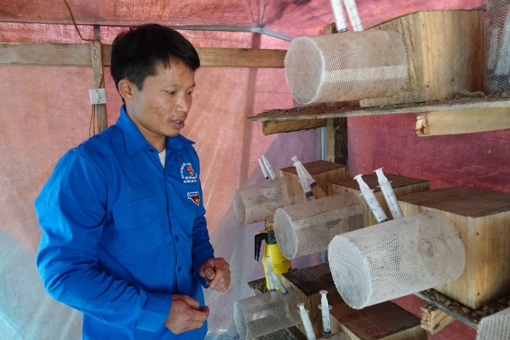 Không chỉ phát triển kinh tế gia đình, anh Ánh còn tích cực chia sẻ kinh nghiệm, hướng dẫn kỹ thuật nuôi ong đất cho thanh niên nhiều địa phương. Đến nay, anh đã đào tạo gần 100 học viên, góp phần lan tỏa mô hình.