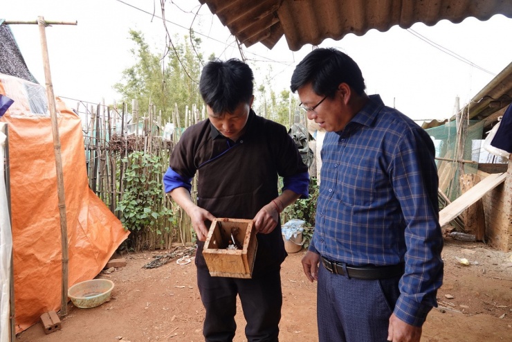 Anh Thào A Sang (người đứng bên trái) - thôn Tà Chí Lừ, xã Púng Luông (Lào Cai) cũng là một trong những người thành công với mô hình này. Dù mới gần 30 tuổi, anh đã có hơn 5 năm gắn bó với nghề. Anh Sang cho hay, tổng thu nhập bình quân đạt khoảng 200 triệu đồng/năm - mức thu nhập đáng kể đối với vùng cao. “Nhờ nuôi ong, cuộc sống gia đình tôi đã cải thiện rõ rệt”, anh Sang cho biết.