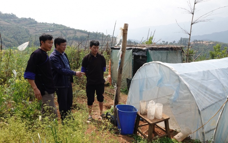 Hiện mỗi tổ ong giống có giá từ 1,5–3 triệu đồng. Ong thương phẩm cho sản lượng trung bình 50–60kg nhộng/tổ, với giá bán khoảng 400.000 đồng/kg nhộng ong. Nhờ đó, mỗi năm, anh Tủa thu về từ 100–150 triệu đồng. “Nhờ nuôi và bán giống ong đất, gia đình tôi có thêm nguồn thu, từng bước cải thiện đời sống”, anh Tủa chia sẻ.