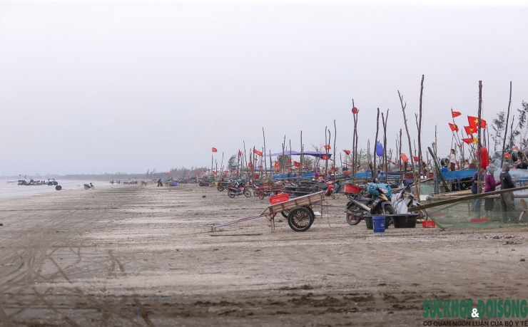 Mỗi chuyến biển, sản lượng có thể đạt từ vài chục đến hàng trăm kg cá, mang lại nguồn thu ổn định cho bà con.