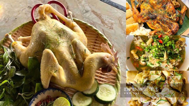 Những món ngon được chế biến từ gà Cùa như gà hấp lá chanh, gà nướng, gà kho ném... được thực khách ưa chuộng. Ảnh: N.V