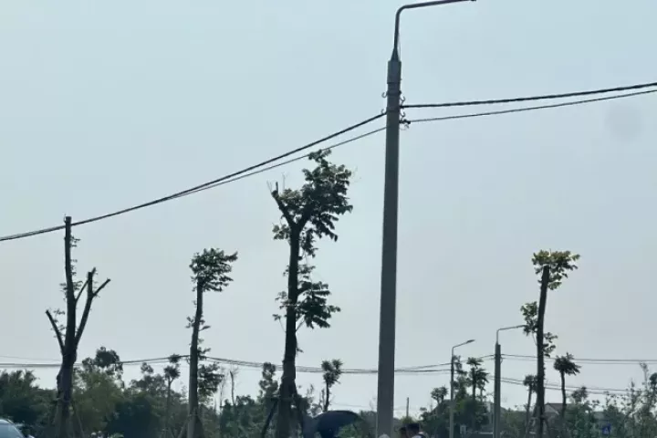 Đất nông thôn vùng quê bất ngờ 'sốt', ô tô đổ về kín đường