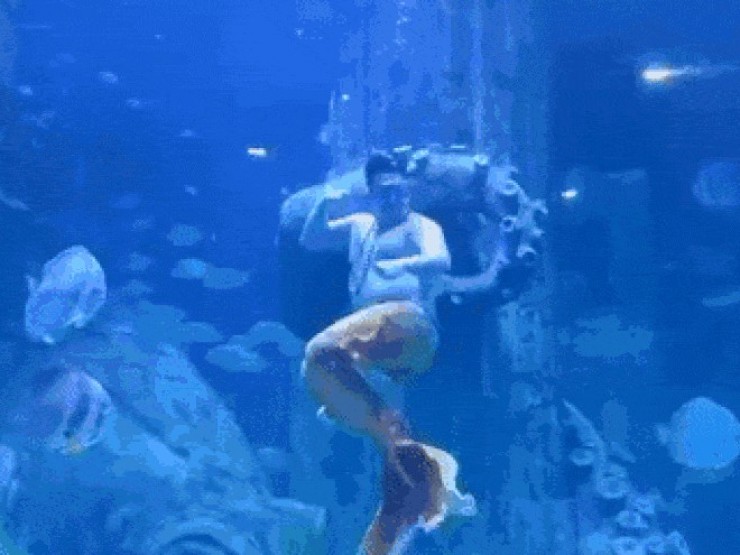 'Chàng tiên cá' hơn 100kg ở Nha Trang gây sốt với màn lắc bụng hài hước