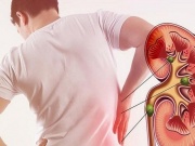 5 dấu hiệu cho thấy thận của nam giới khỏe mạnh: Bạn có bao nhiêu?