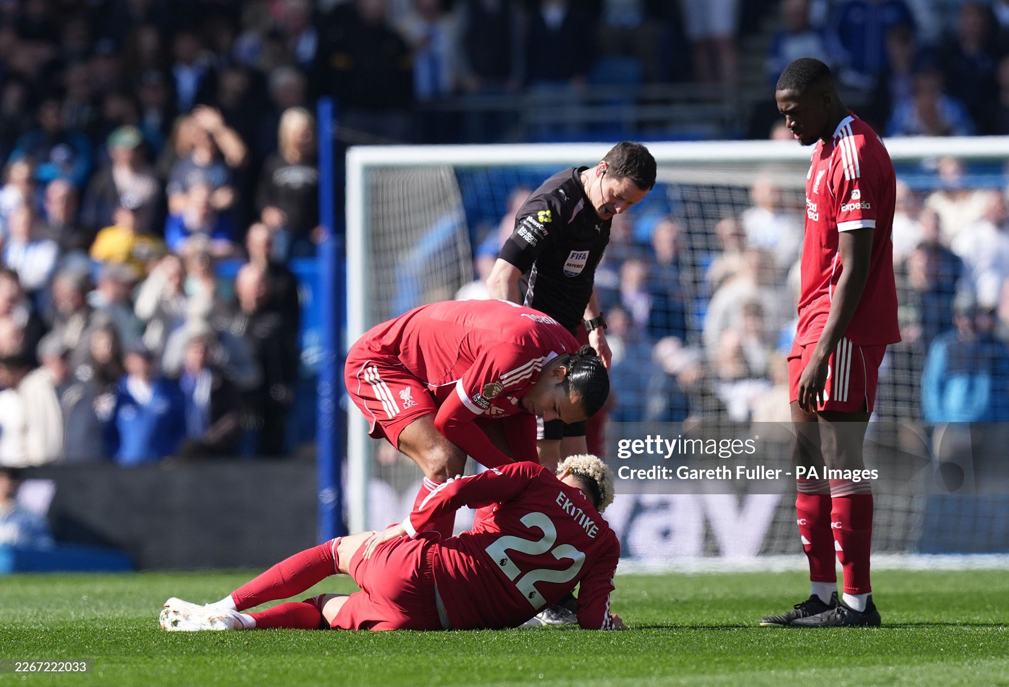 Trực tiếp bóng đá Brighton - Liverpool: Xuất sắc bảo vệ chiến thắng (Hết giờ) - 1