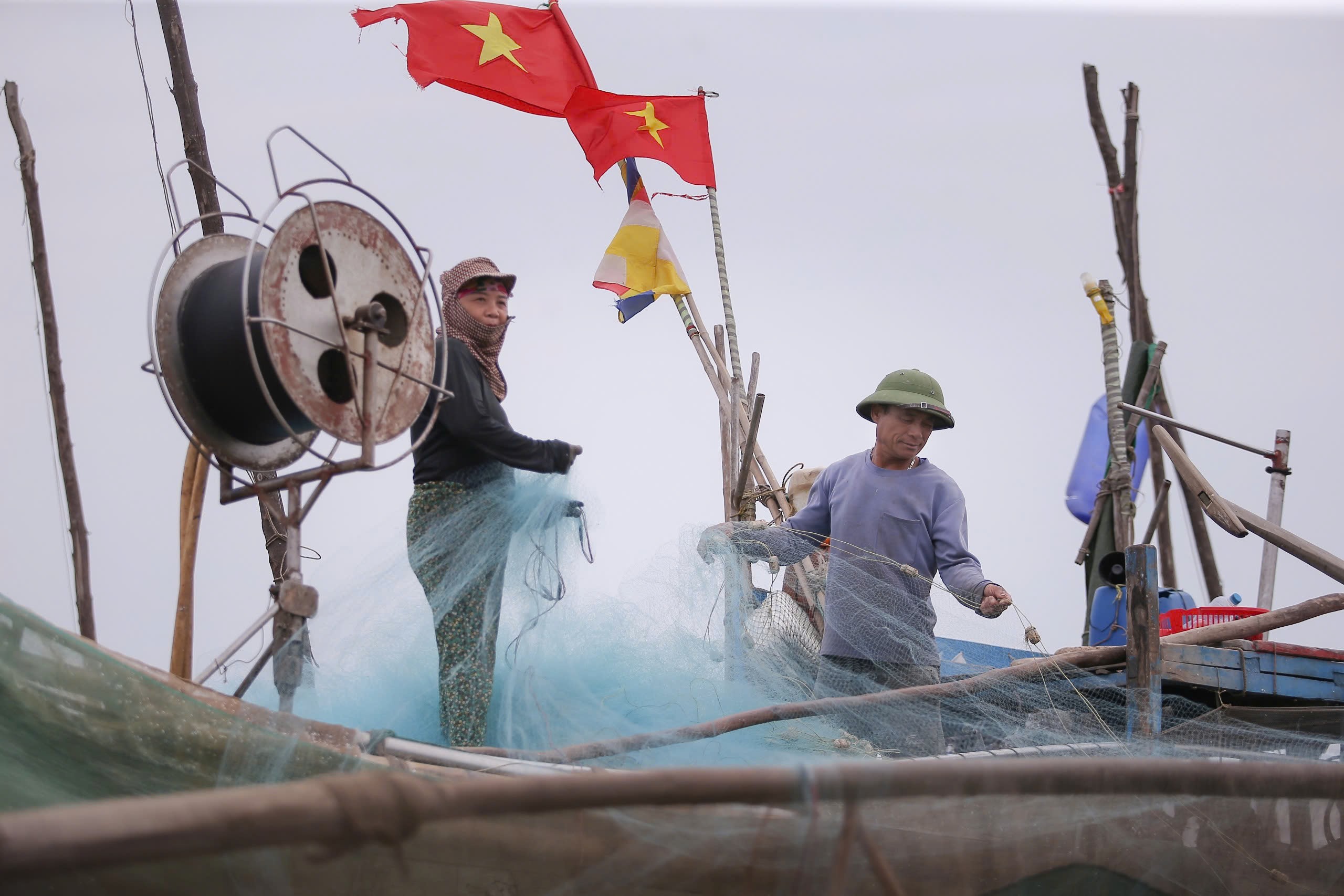 Ngư dân trúng đậm mỗi ngày nhờ loài cá giàu đạm - 4