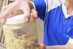 Đà Nẵng thêm 2 người nhập viện do ăn cá ủ chua, Bộ Y tế chỉ đạo nóng