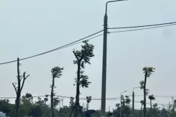 Đất nông thôn vùng quê bất ngờ 'sốt', ô tô đổ về kín đường