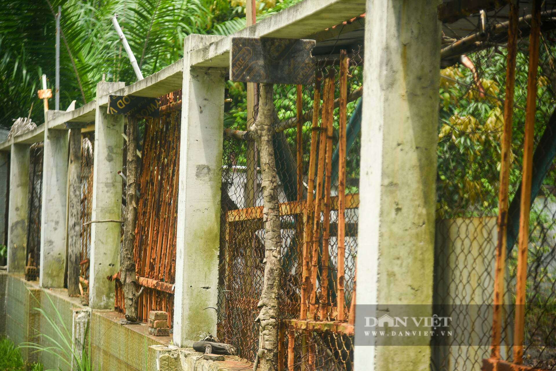 Hiện trạng khối tài sản 81 tỷ đồng của công ty đại gia Huy “Máy nổ” được Đà Nẵng rao bán - 12