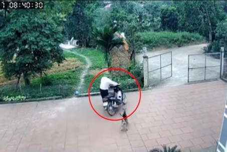 Clip: Phóng xe sang nhà hàng xóm, người đàn ông bị chó đuổi lao thẳng vào hàng rào