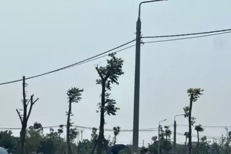 Đất nông thôn vùng quê bất ngờ 'sốt', ô tô đổ về kín đường