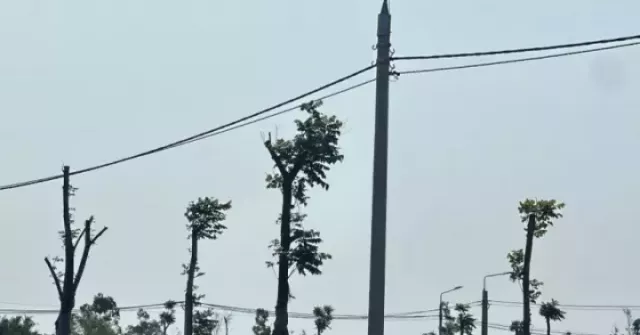 Đất nông thôn vùng quê bất ngờ "sốt", ô tô đổ về kín đường