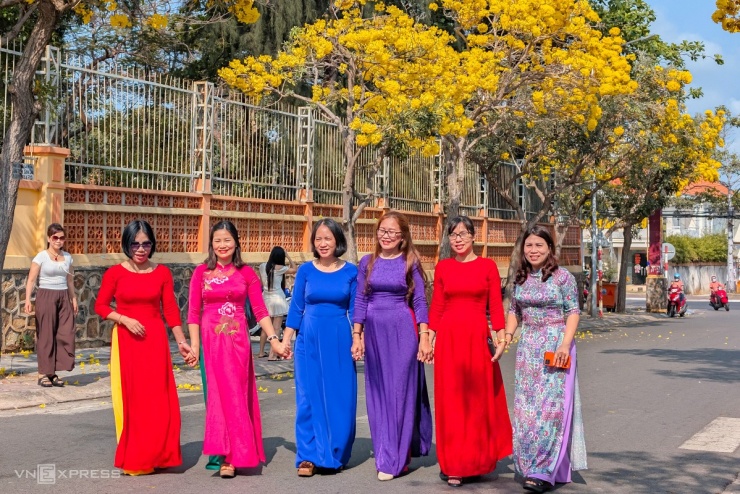 Hoa chuông nở vàng rực góc phố Vũng Tàu - 7