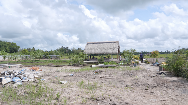 Khu vườn 3.000 m2 như tranh vẽ của cặp vợ chồng An Giang - 1