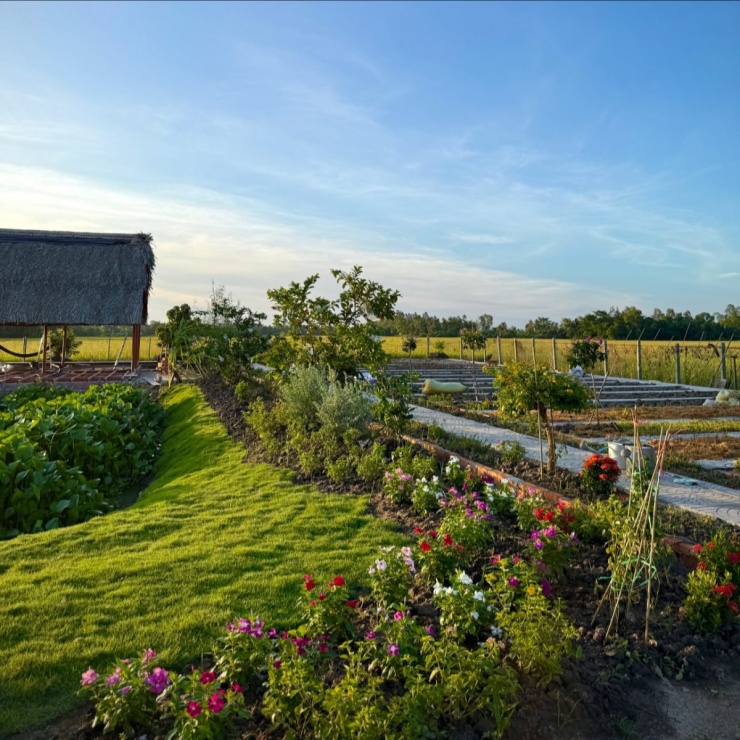 Khu vườn 3.000 m2 như tranh vẽ của cặp vợ chồng An Giang - 3