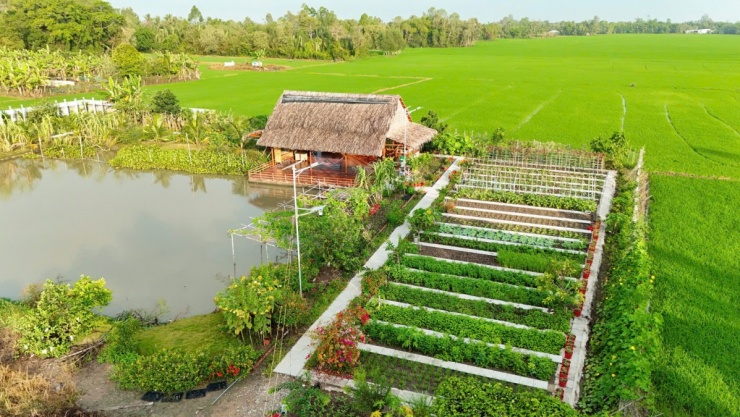 Khu vườn 3.000 m2 như tranh vẽ của cặp vợ chồng An Giang - 5