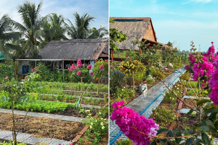 Khu vườn 3.000 m2 như tranh vẽ của cặp vợ chồng An Giang - 6