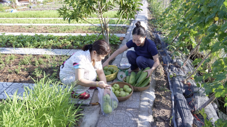 Khu vườn 3.000 m2 như tranh vẽ của cặp vợ chồng An Giang - 7