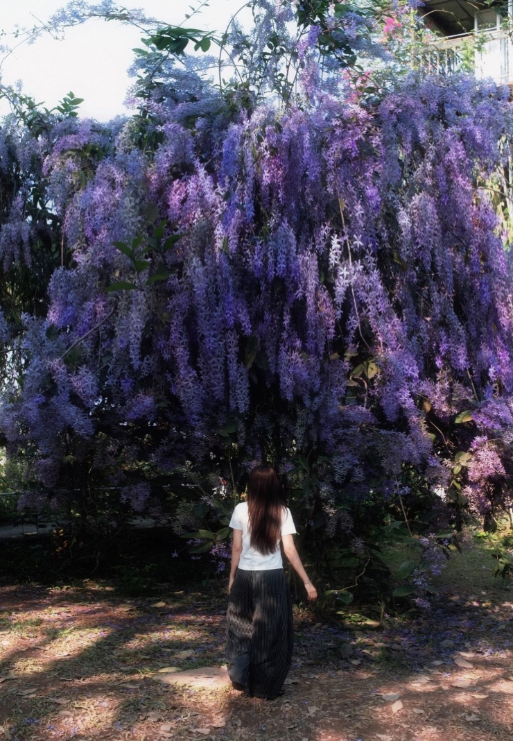 Ảnh: Threads @_ddi.huyn_