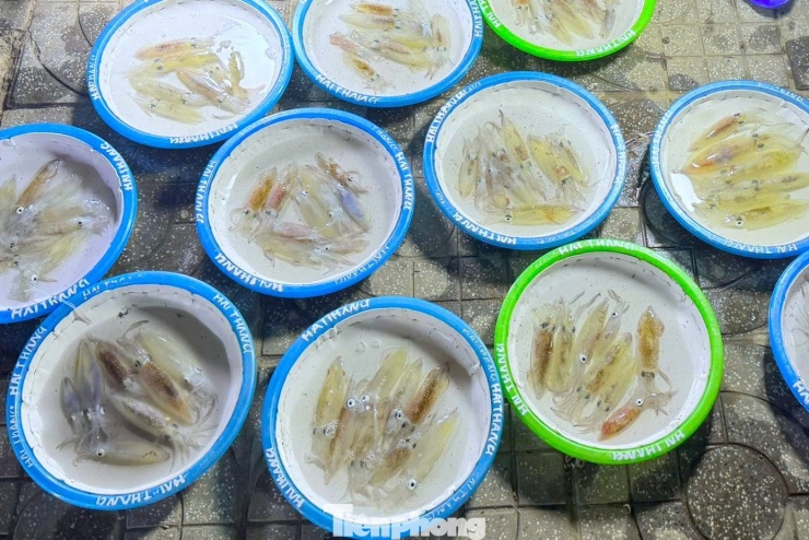 Điều đặc biệt ở khu chợ này là không dùng cân, cũng không có giá cố định. Mực được bán theo “mớ”, giá cả hoàn toàn phụ thuộc vào thỏa thuận giữa người mua và người bán. Chính sự thoải mái, không ép giá, không chèo kéo khiến không khí mua bán thêm phần vui vẻ, gần gũi.