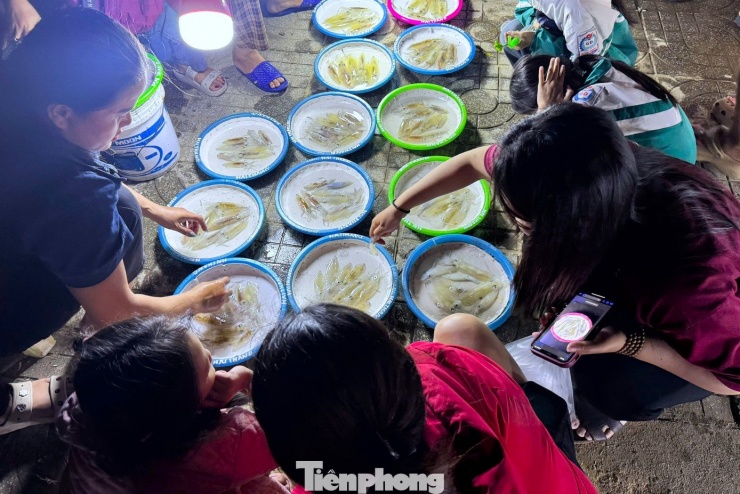 Gắn bó với chợ mực nháy đã 5 năm, chị Nguyễn Thị Thủy (trú phường Cửa Lò) cho biết, công việc của gia đình bắt đầu từ khi trời tối. Chồng chị chèo thuyền thúng ra biển câu mực, còn chị ở lại bờ chờ, mực vừa đưa vào là mang ra vỉa hè bán ngay. Theo chị Oanh, Mực không cân ký mà bán theo từng mớ nhỏ, giá dao động 80.000 - 100.000 đồng/mớ tùy thời điểm. Nhờ nguồn mực tươi đánh bắt trong đêm, mỗi tối gia đình chị có thể thu nhập trên dưới 1 triệu đồng.