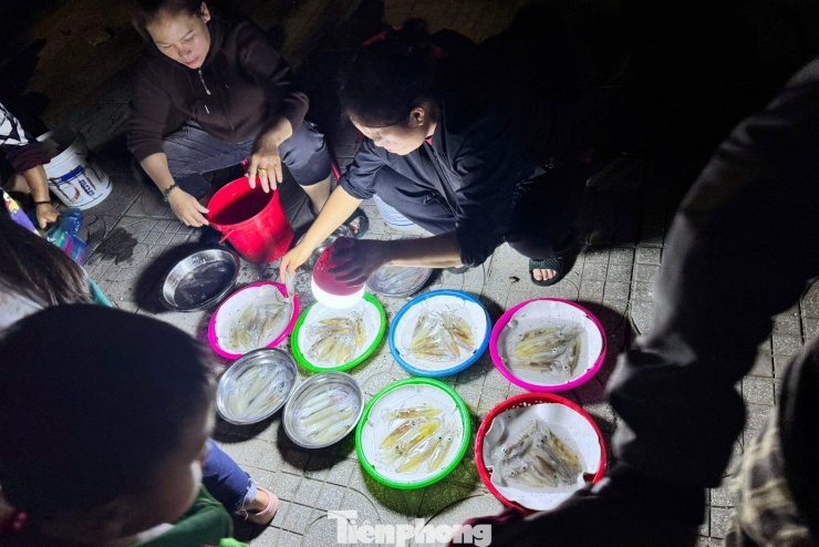 “Nghe giới thiệu nên gia đình tôi đến thử, mực rất tươi, người bán thân thiện. Giá cả thì tùy mình trả, thấy hợp lý là mua”, anh Trần Ngọc Long, du khách Hà Nội, chia sẻ.