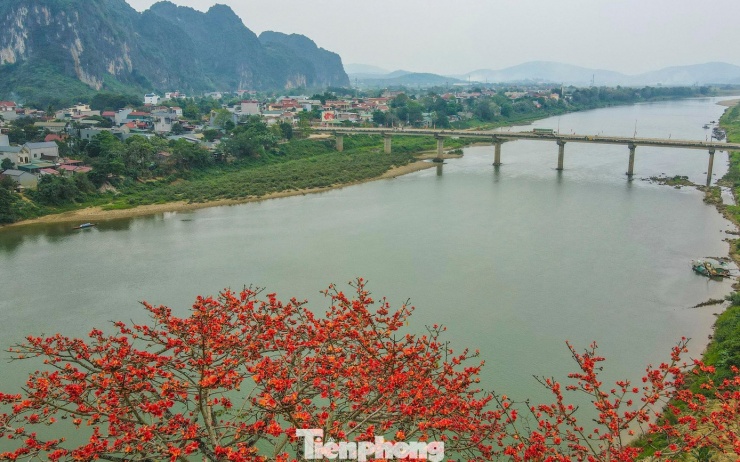 Người dân địa phương nói rằng, hoa gạo nở báo hiệu mùa xuân đã qua đi, mùa hạ đang đến gần.