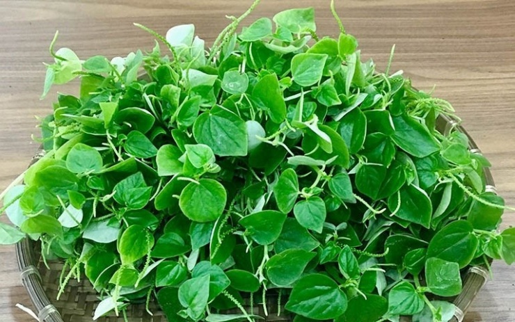 Rau càng cua không chỉ là loại rau dại quen thuộc trong các món gỏi mà còn được mệnh danh là