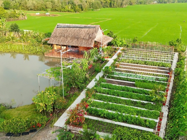 Khu vườn 3.000 m2 như tranh vẽ của cặp vợ chồng An Giang