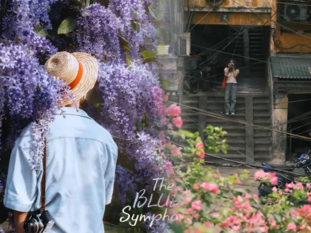 3 góc hoa đẹp nhất Hà Nội lúc này: Công viên Thống Nhất và thực vật cảnh đắt khách