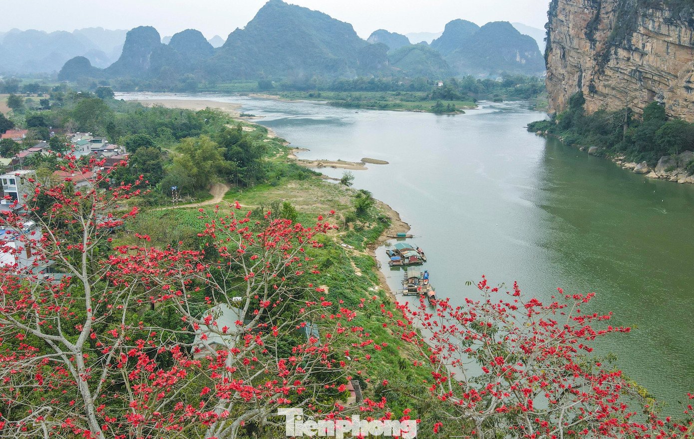Mê mẩn hoa gạo đỏ rực, 'thắp lửa' ven sông - 5