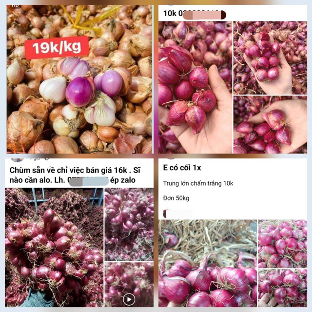 Hành cù được rao bán với giá rẻ trên mạng xã hội. Ảnh chụp màn hình.