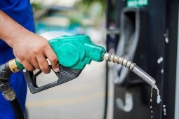 Tiết kiệm xăng dầu: Chỗ nào làm việc trực tuyến được thì nên khuyến khích