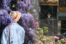 3 góc hoa đẹp nhất Hà Nội lúc này: Công viên Thống Nhất và thực vật cảnh đắt khách