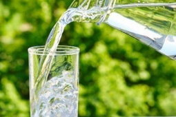 5 cách tự nhiên bảo vệ thận, giảm nguy cơ mắc bệnh thận