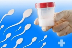 Tinh dịch có lẫn máu: 5 sự thật bạn cần biết