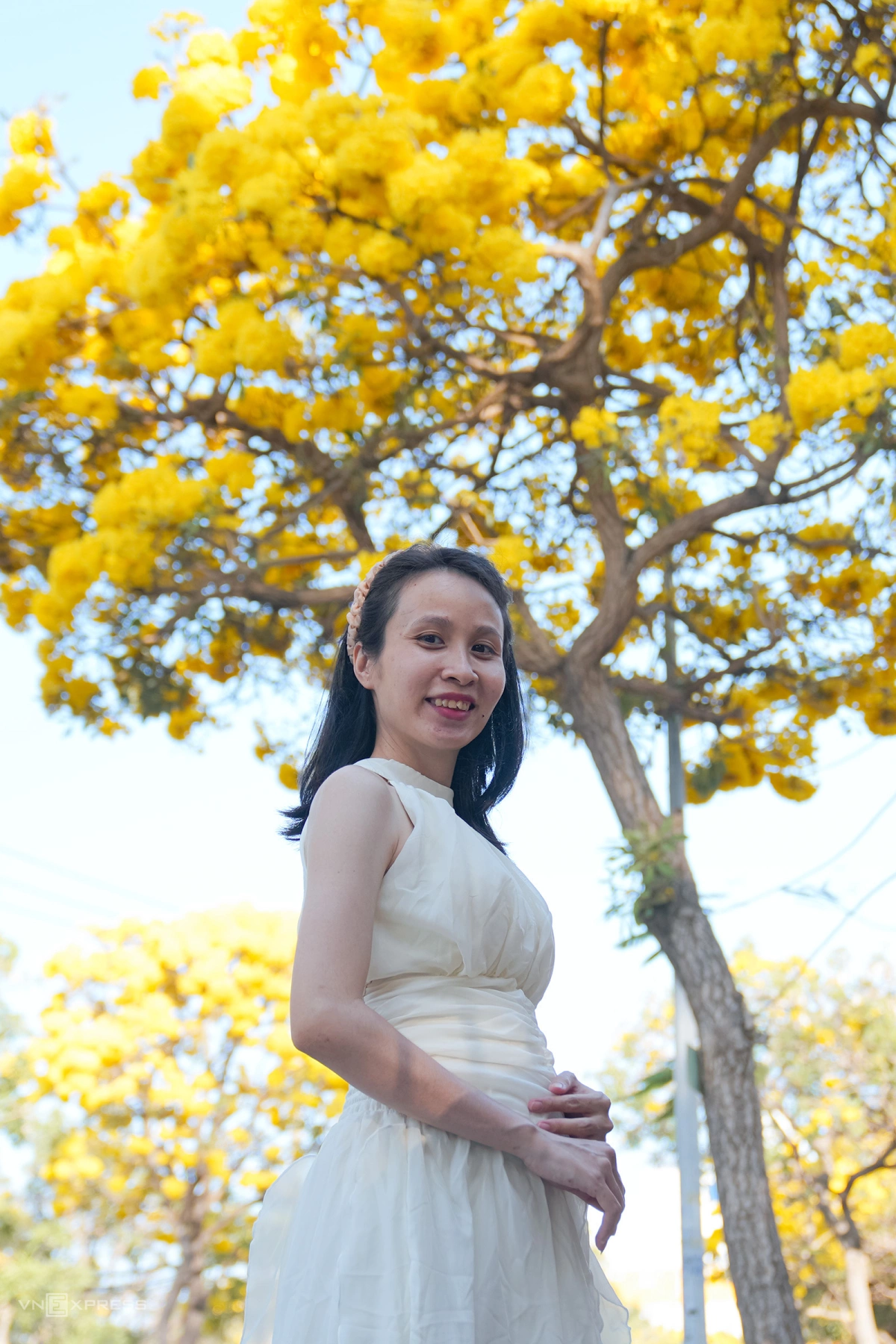 Hoa chuông nở vàng rực góc phố Vũng Tàu - 5