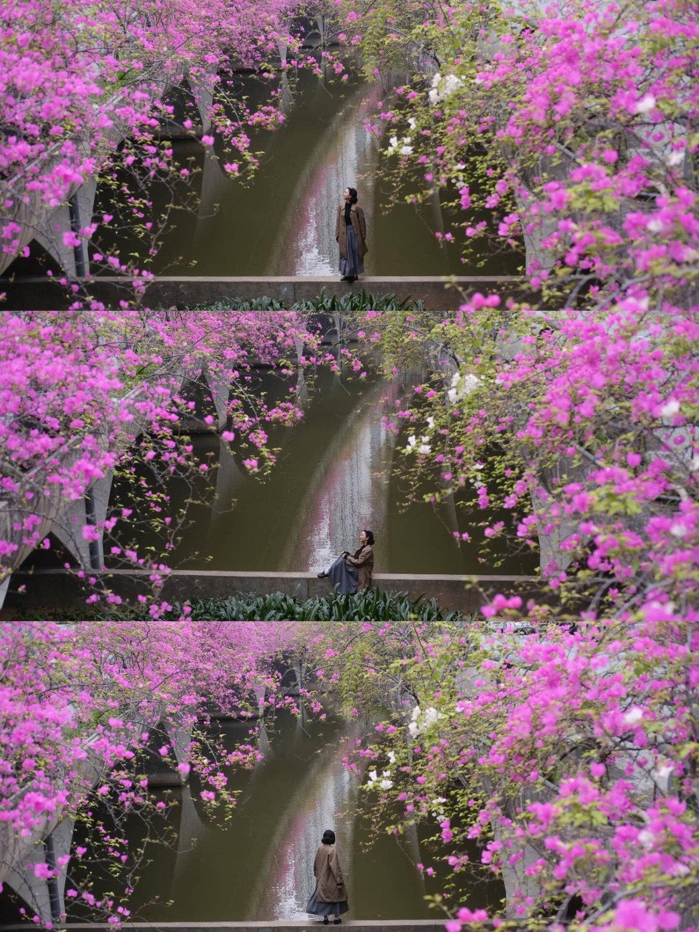 Ảnh: Threads @cuthuynh159