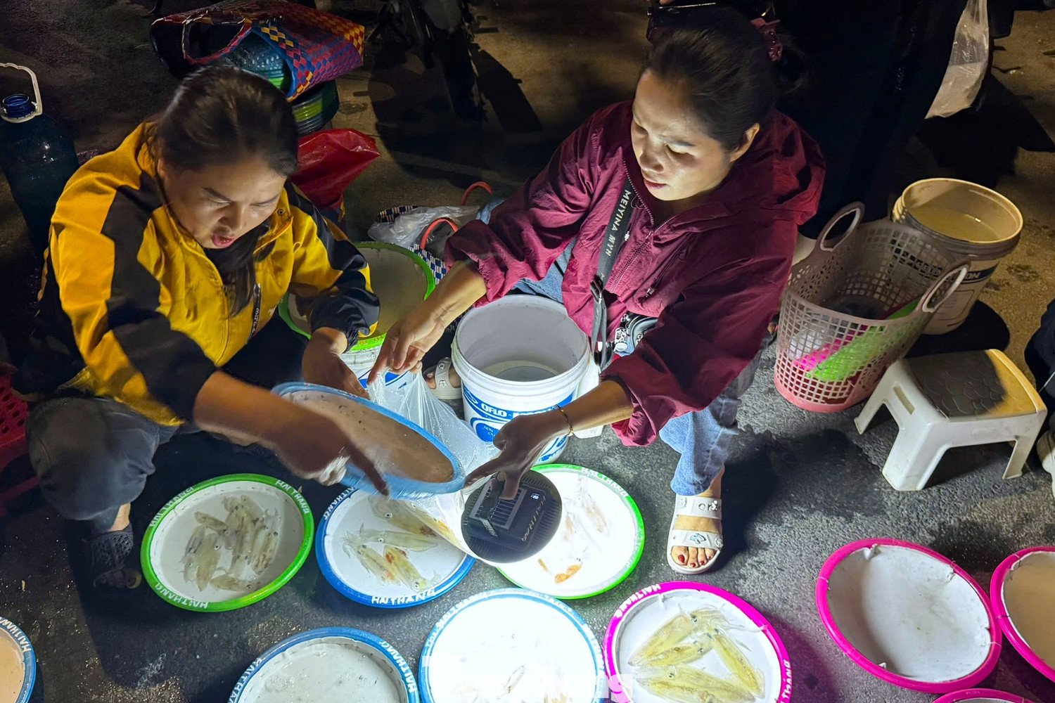 Theo người dân địa phương, mực nháy ở đây chủ yếu do ngư dân tự câu trong đêm, thuyền về lúc nào bán hết lúc đó, thường chỉ trong vòng 30 phút là “cháy hàng”. Trung bình mỗi đêm, một hộ có thể thu về vài trăm nghìn đến hơn một triệu đồng.