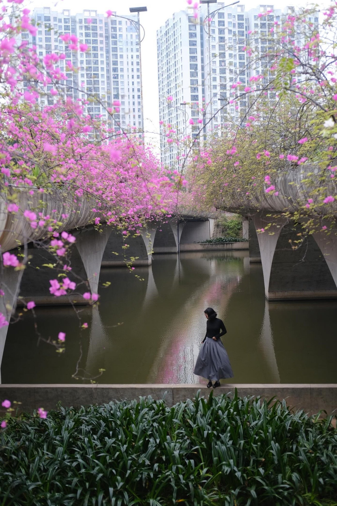 Ảnh: Threads @cuthuynh159