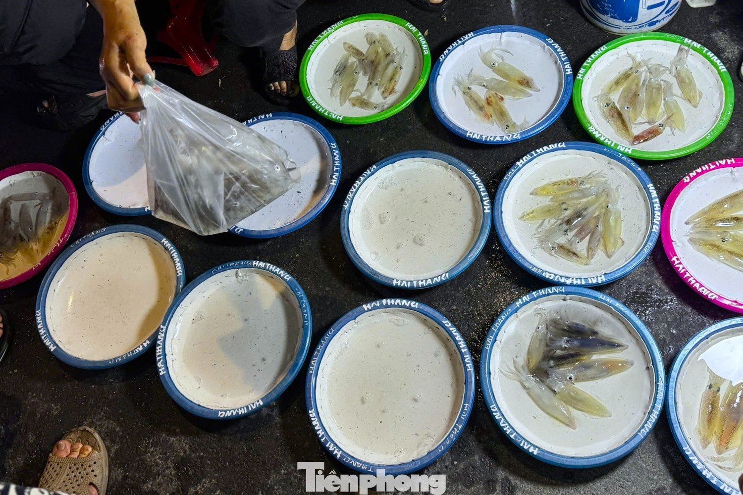 Theo người dân địa phương, mực nháy ở đây chủ yếu do ngư dân tự câu trong đêm, thuyền về lúc nào bán hết lúc đó, thường chỉ trong vòng 30 phút là “cháy hàng”. Trung bình mỗi đêm, một hộ có thể thu về vài trăm nghìn đến hơn một triệu đồng.