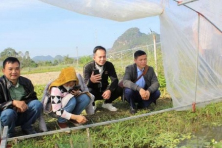 Lạng Sơn: Tỷ phú nuôi ốc nhồi có bí quyết chả tốn một xu mua cám, bán dễ hơn gà ta thả vườn, thu tiền tỷ/năm