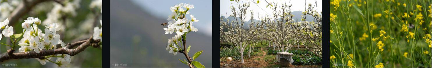 Điểm đến bị khách du lịch 'bỏ quên' ở Hà Giang - 4