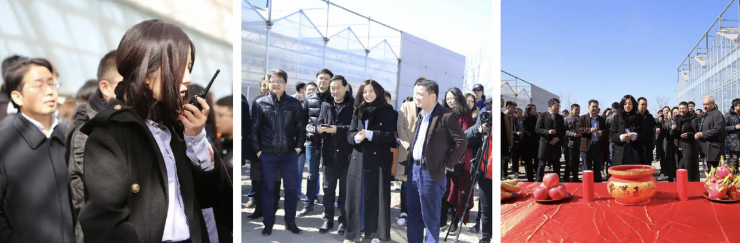 Triệu Vy trong vai trò đạo diễn trên phim trường bộ phim Không có tình yêu khác.