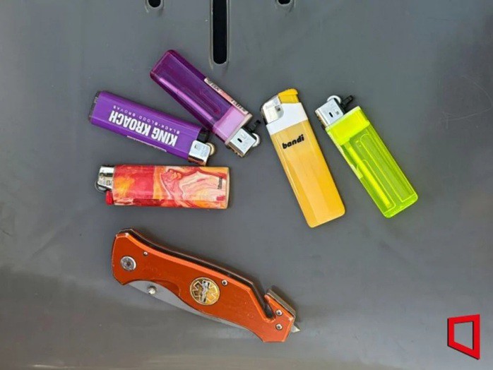 Cảnh sát chặn người mang dao, súng điện vì đêm nhạc BTS - 3