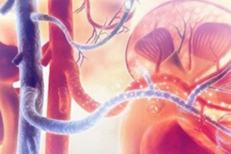 Loại rau tưởng tốt nhưng làm tăng nguy cơ suy thận, người Việt cần biết để ăn cho đúng