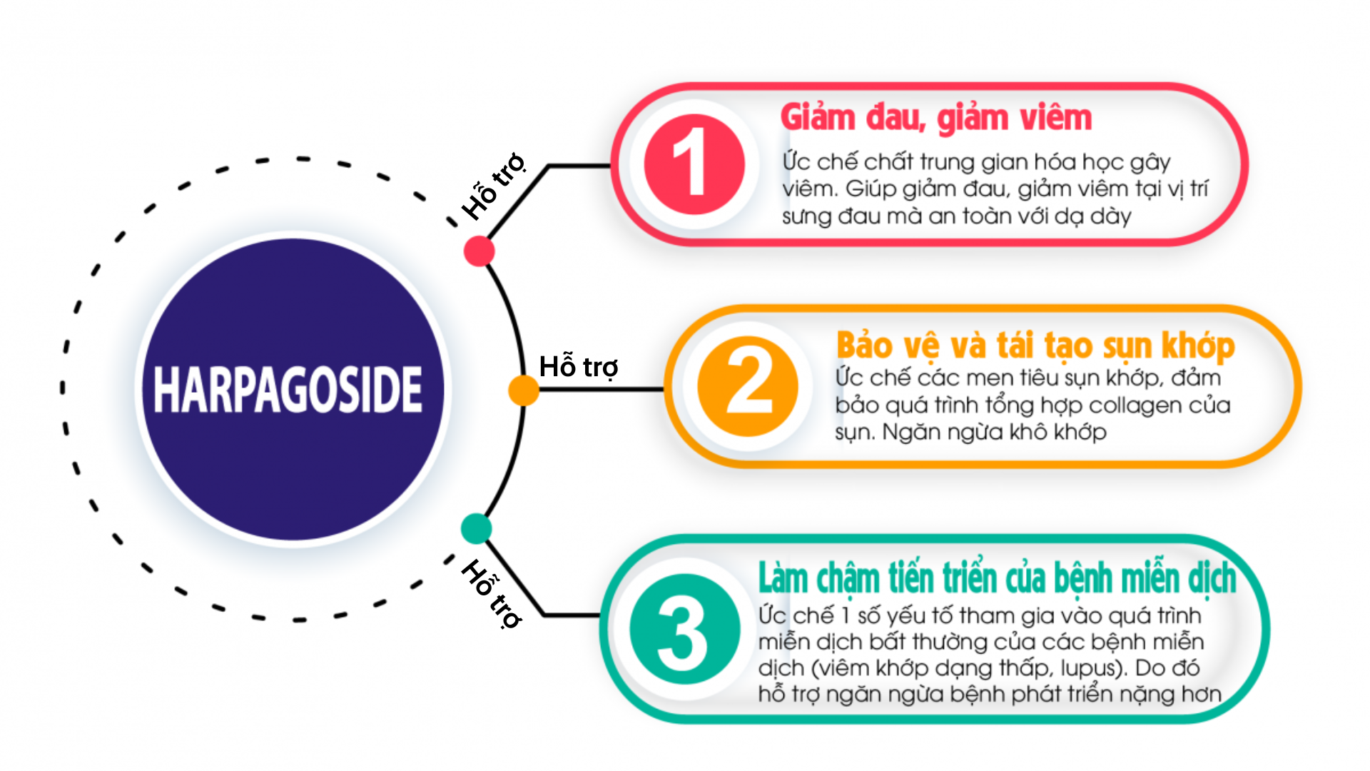 Học người Nhật bí quyết giảm đau xương khớp được truyền qua hàng trăm năm - 5